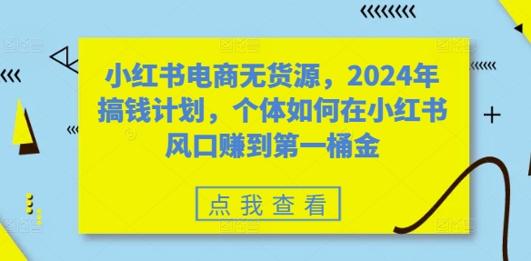 小红书电商无货源，2024年搞钱计划，个体如何在小红书风口赚到第一桶金-星河轻创