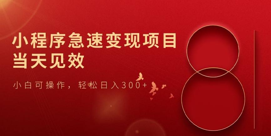小程序急速变现项目，当天见效，小白可操作，轻松日入300+-星河轻创