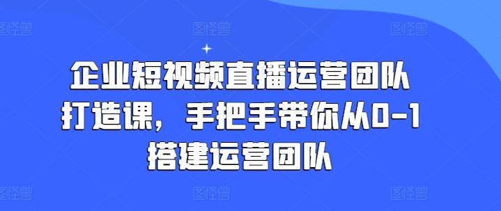 企业短视频直播运营团队打造课，手把手带你从0-1搭建运营团队-星河轻创