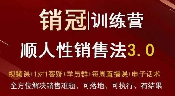 爆款！销冠训练营3.0之顺人性销售法，全方位解决销售难题、可落地、可执行、有结果-星河轻创