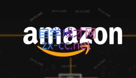 干干老师·亚马逊精细化广告详解-星河轻创