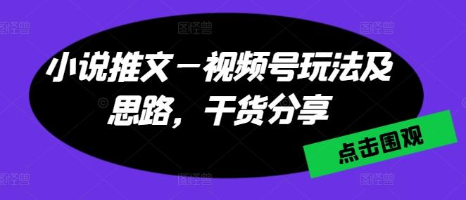 小说推文—视频号玩法及思路，干货分享-星河轻创