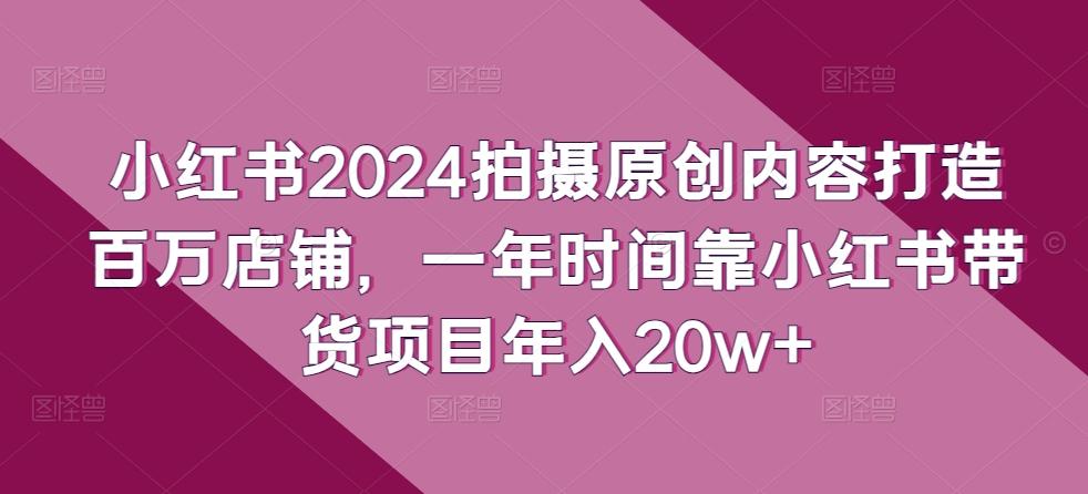 小红书2024拍摄原创内容打造百万店铺，一年时间靠小红书带货项目年入20w+-星河轻创
