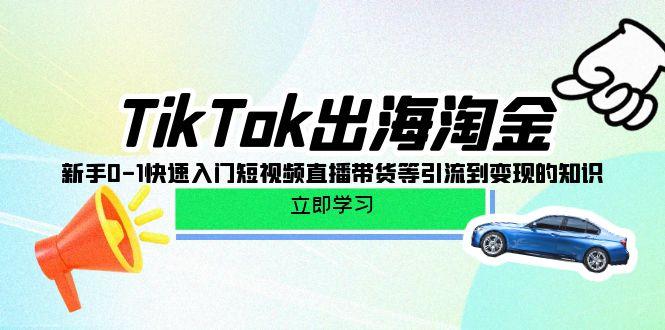 (10035期)TikTok-出海淘金，新手0-1快速入门短视频直播带货等引流到变现的知识-星河轻创