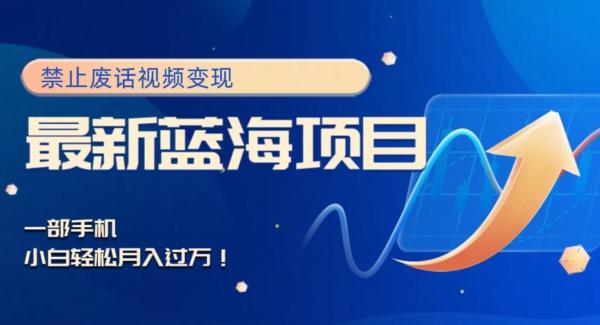 最新蓝海项目，靠禁止废话视频变现，一部手机，小白轻松月入过万！-星河轻创