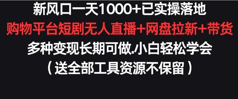 新风口一天1000+已实操落地购物平台短剧无人直播+网盘拉新+带货多种变现长期可做【揭秘】-星河轻创