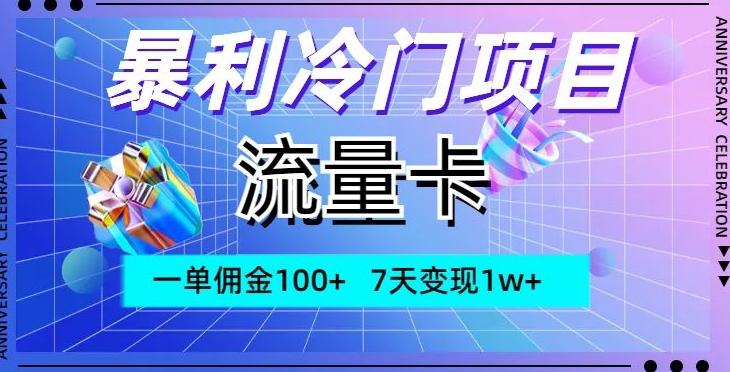 暴利冷门项目，流量卡，一单佣金100+，7天变现1w+-星河轻创