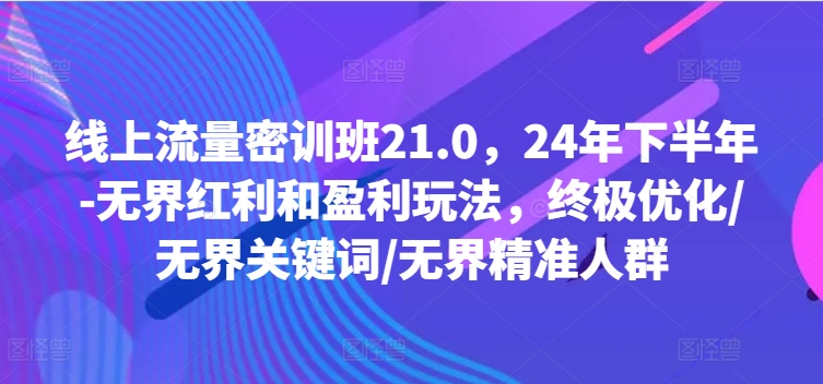 线上流量密训班21.0，24年下半年-无界红利和盈利玩法，终极优化/无界关键词/无界精准人群-星河轻创