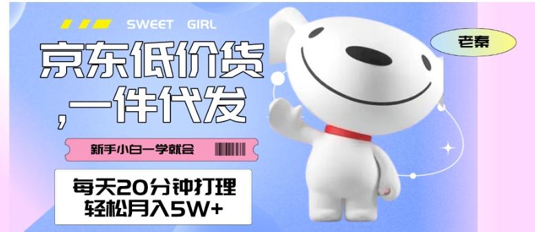 每天20分钟打理京东低价货，一件代发-轻松月入5W＋-星河轻创