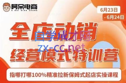 阿呆电商·全店动销经营模式特训营(线下录音+思维导图)-星河轻创