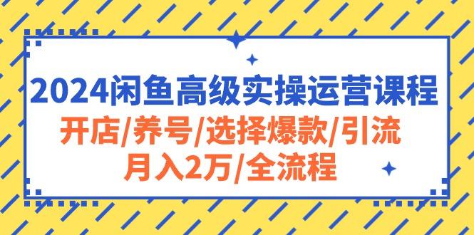 2024闲鱼高级实操运营课程：开店/养号/选择爆款/引流/月入2万/全流程-星河轻创