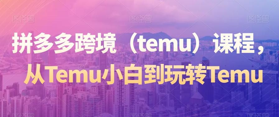 拼多多跨境（temu）课程，从Temu小白到玩转Temu-星河轻创