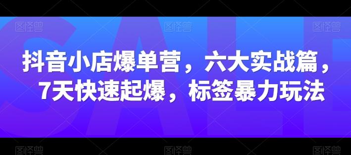 抖音小店爆单营，六大实战篇，7天快速起爆，标签暴力玩法-星河轻创