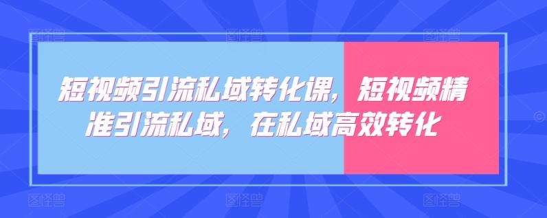 短视频引流私域转化课，短视频精准引流私域，在私域高效转化-星河轻创