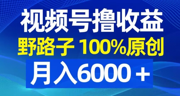 视频号野路子撸收益，100%原创，条条爆款，月入6000＋【揭秘】-星河轻创