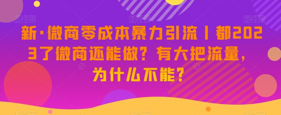 新·微商零成本暴力引流丨都2023了微商还能做？有大把流量，为什么不能？-星河轻创