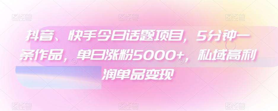 抖音、快手今日话题项目，5分钟一条作品，单日涨粉5000+，私域高利润单品变现-星河轻创