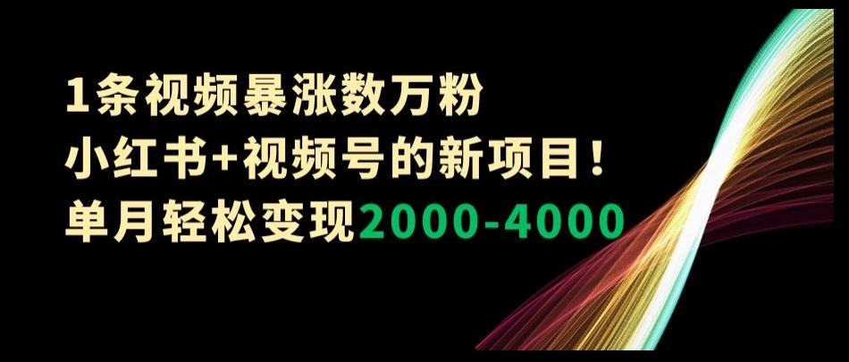 1条视频暴涨数万粉–小红书+视频号的新项目！单月轻松变现2000-4000【揭秘】-星河轻创