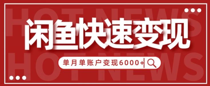 【新手项目】小白快速在闲鱼单月单账号变现6000+的秘密-星河轻创