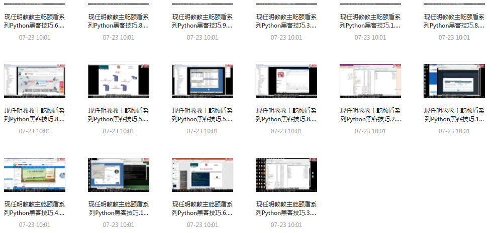 Python黑客技巧课程-星河轻创