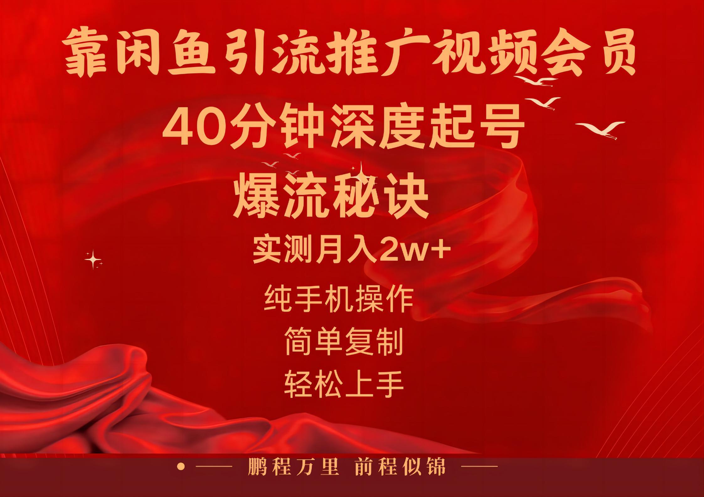闲鱼暴力引流推广视频会员，能做到日入2W+，操作简单-星河轻创