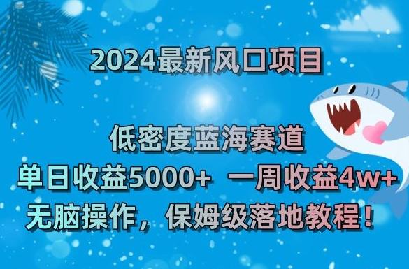 2024最新风口项目，低密度蓝海赛道，单日收益5000+，一周收益4w+！【揭秘】-星河轻创