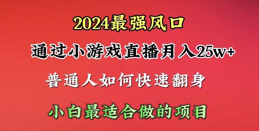 (10020期)2024年最强风口，通过小游戏直播月入25w+单日收益5000+小白最适合做的项目-星河轻创