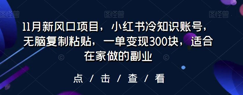 11月新风口项目，小红书冷知识账号，无脑复制粘贴，一单变现300块，适合在家做的副业-星河轻创