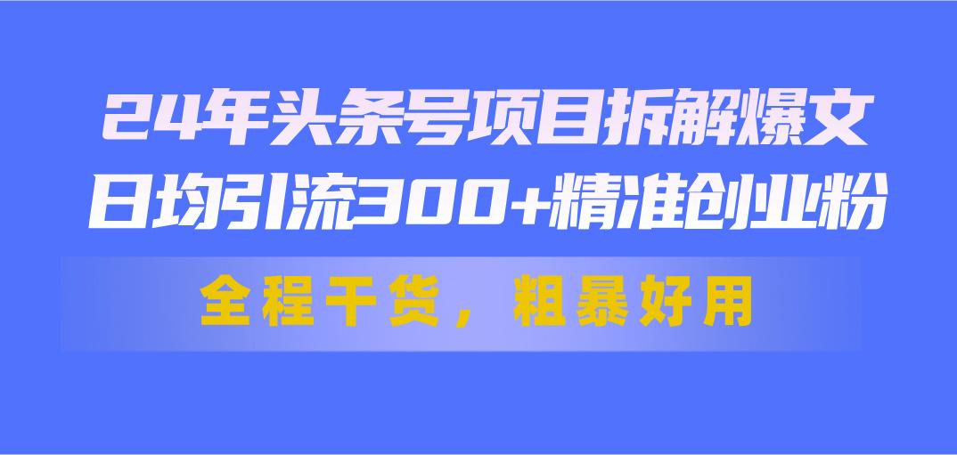 24年头条号项目拆解爆文，日均引流300+精准创业粉，全程干货，粗暴好用-星河轻创
