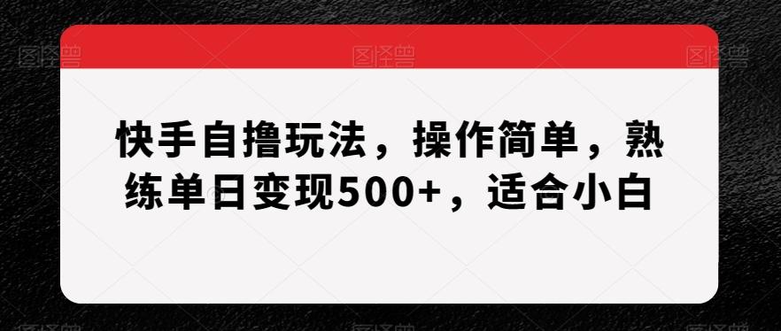快手自撸玩法，操作简单，熟练单日变现500+，适合小白【揭秘】-星河轻创