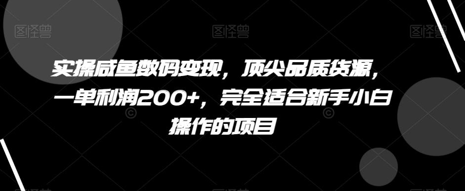 实操咸鱼数码变现，顶尖品质货源，一单利润200+，完全适合新手小白操作的项目【揭秘】-星河轻创