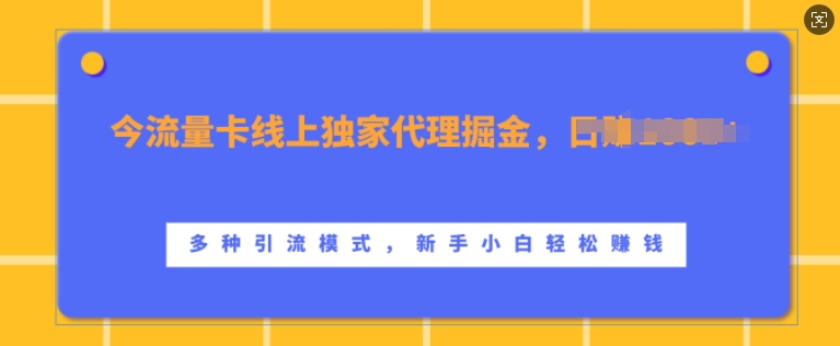 流量卡线上独家代理掘金，日入1k+ ，多种引流模式，新手小白轻松上手【揭秘】-星河轻创