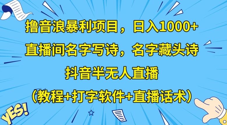 撸音浪暴利项目，日入1000+，直播间名字写诗，名字藏头诗，抖音半无人直播（教程+打字软件+直播话术）【揭秘】-星河轻创