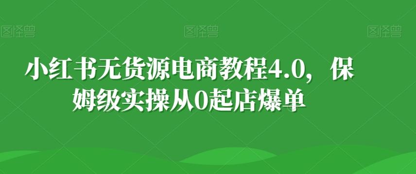 小红书无货源电商教程4.0，保姆级实操从0起店爆单【拆解】-星河轻创