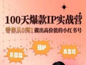 小红书100天爆款IP实战营，带你从0到1做出高价值的小红书号-星河轻创