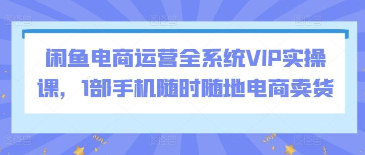闲鱼电商运营全系统VIP实操课，1部手机随时随地电商卖货-星河轻创