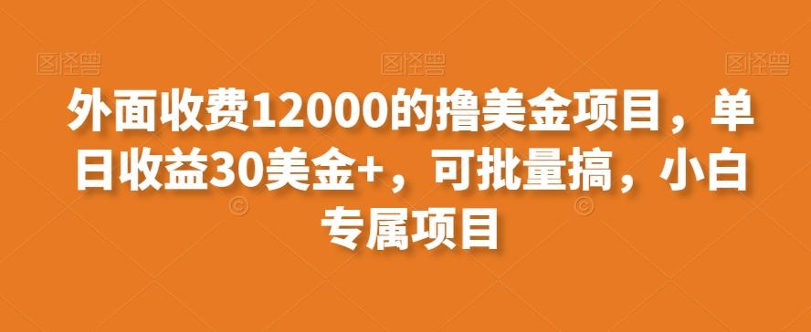 外面收费12000的撸美金项目，单日收益30美金+，可批量搞，小白专属项目-星河轻创