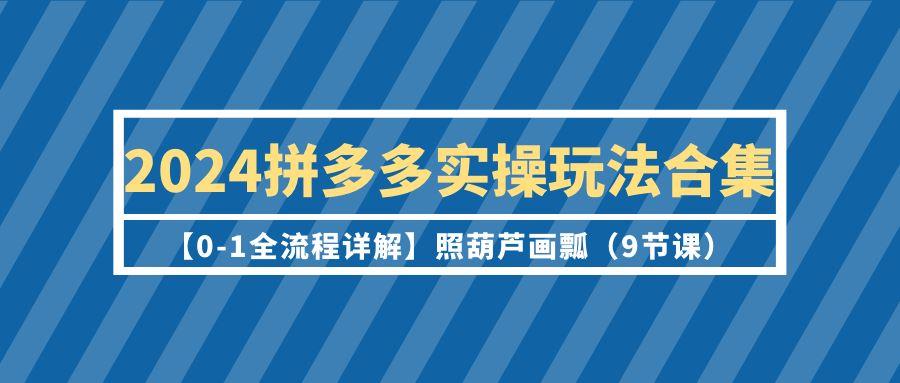 (9559期)2024拼多多实操玩法合集【0-1全流程详解】照葫芦画瓢(9节课)-星河轻创