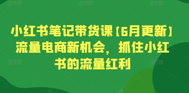 小红书笔记带货课【6月更新】流量电商新机会，抓住小红书的流量红利-星河轻创