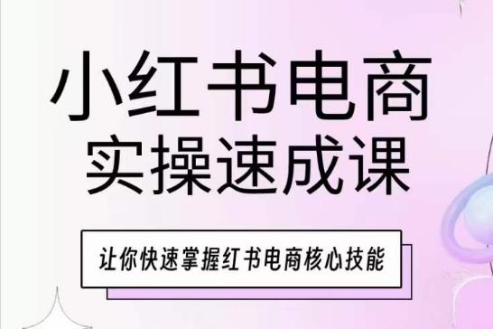 小红书电商实操速成课，让你快速掌握红书电商核心技能-星河轻创