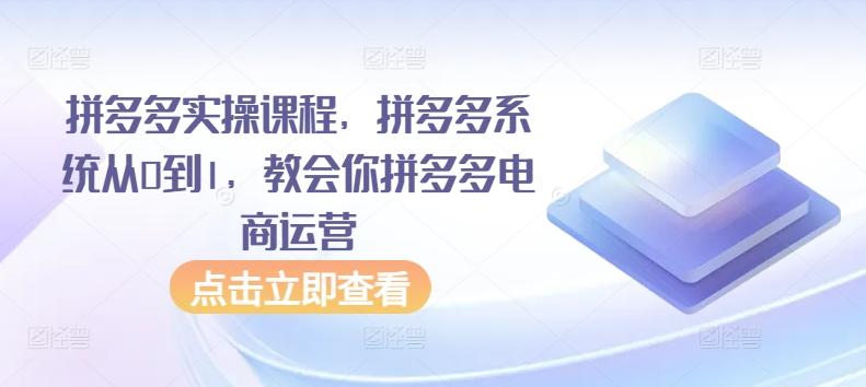 拼多多实操课程，拼多多系统从0到1，教会你拼多多电商运营-星河轻创