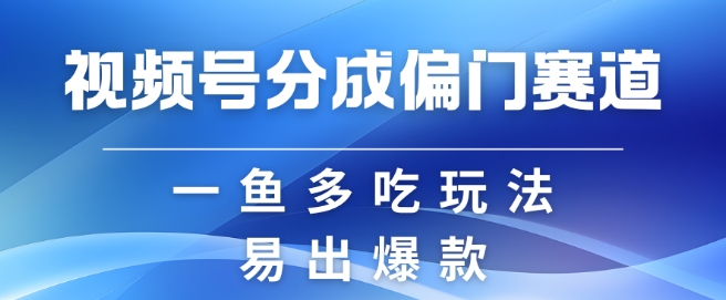视频号创作者分成计划偏门类目，容易爆流，实拍内容简单易做【揭秘】-星河轻创