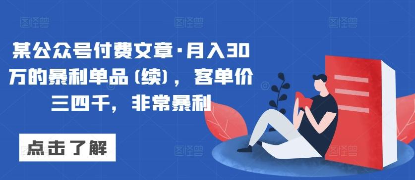 某公众号付费文章·月入30万的暴利单品(续)，客单价三四千，非常暴利-星河轻创
