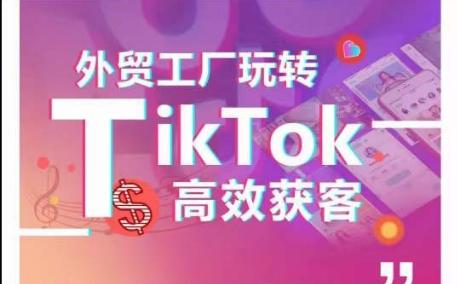 外贸工厂玩转TikTok高效获客，多种引流方式与账号定位技巧，拆解爆款短视频打造成功案例-星河轻创