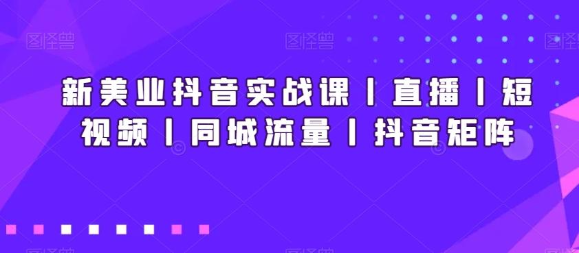 新美业抖音实战课丨直播丨短视频丨同城流量丨抖音矩阵-星河轻创