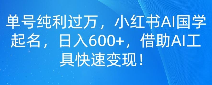 单号纯利过万，小红书AI国学起名，日入600+，借助AI工具快速变现-星河轻创