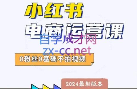 达哥·小红书电商运营(2024版)-星河轻创