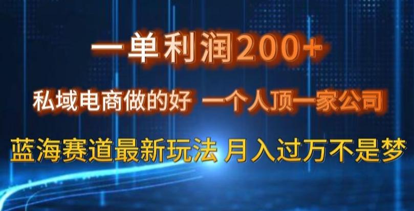 一单利润200私域电商做的好，一个人顶一家公司蓝海赛道最新玩法【揭秘】-星河轻创