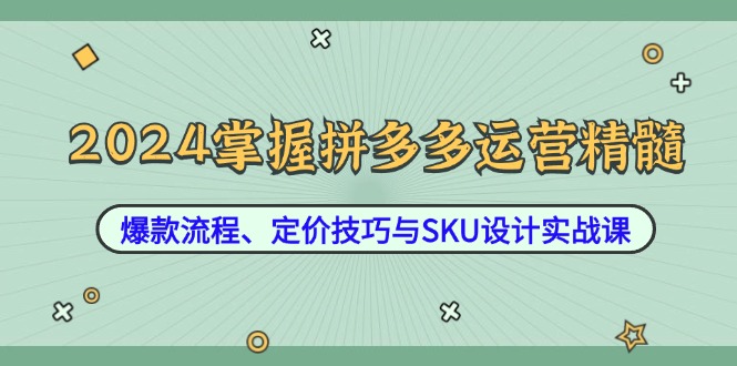 2024掌握拼多多运营精髓：爆款流程、定价技巧与SKU设计实战课-星河轻创