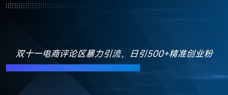 双十一电商评论区暴力引流，日引500+精准创业粉【揭秘】-星河轻创